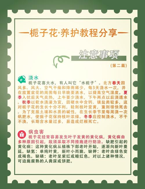 栀子花扦插步骤，栀子花扦插步骤图解？-第7张图片-优品飞百科