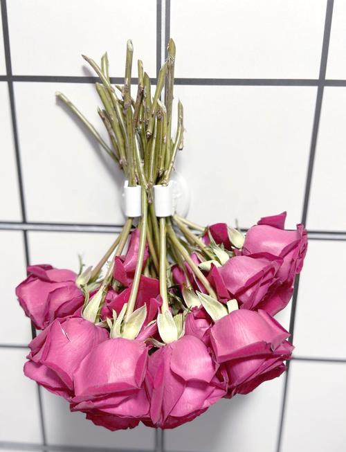 玫瑰花如何做成干花，鲜花买回来几天适合做成干花？-第3张图片-优品飞百科