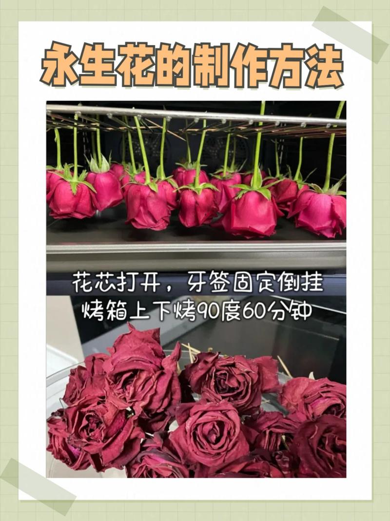 玫瑰花如何做成干花，鲜花买回来几天适合做成干花？-第5张图片-优品飞百科
