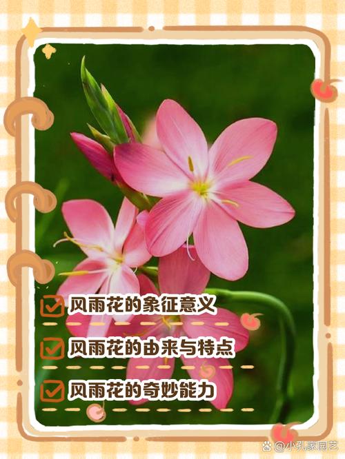 这8种花像水桶？这8种花像水桶一样？-第3张图片-优品飞百科