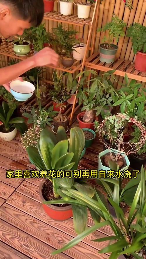 这8种花像水桶？这8种花像水桶一样？-第4张图片-优品飞百科
