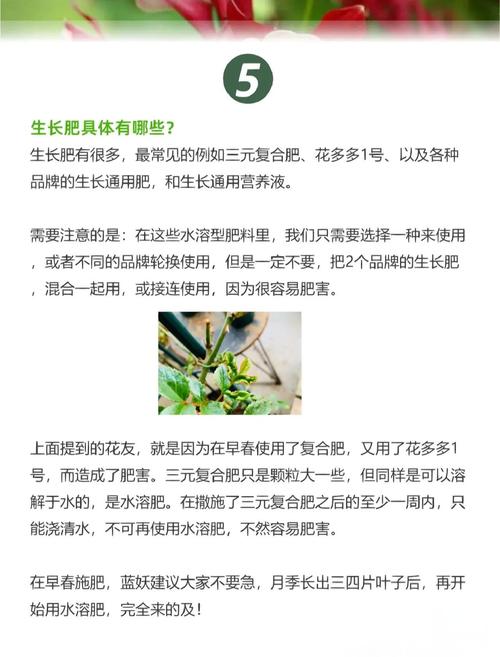 月季盆里撒点它？月季花盆里有很多小虫子？-第7张图片-优品飞百科