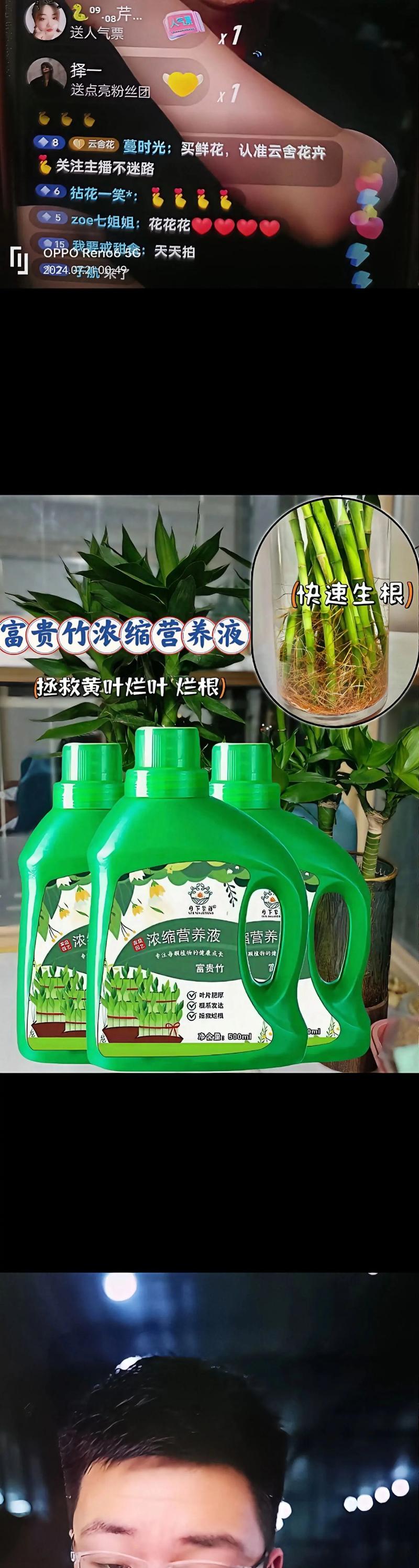 富贵竹营养液自制方法，富贵竹营养液自制方法大全-第2张图片-优品飞百科