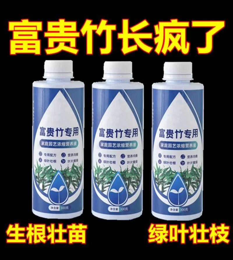 富贵竹营养液自制方法，富贵竹营养液自制方法大全-第5张图片-优品飞百科