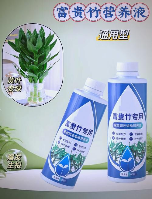 富贵竹营养液自制方法，富贵竹营养液自制方法大全-第6张图片-优品飞百科