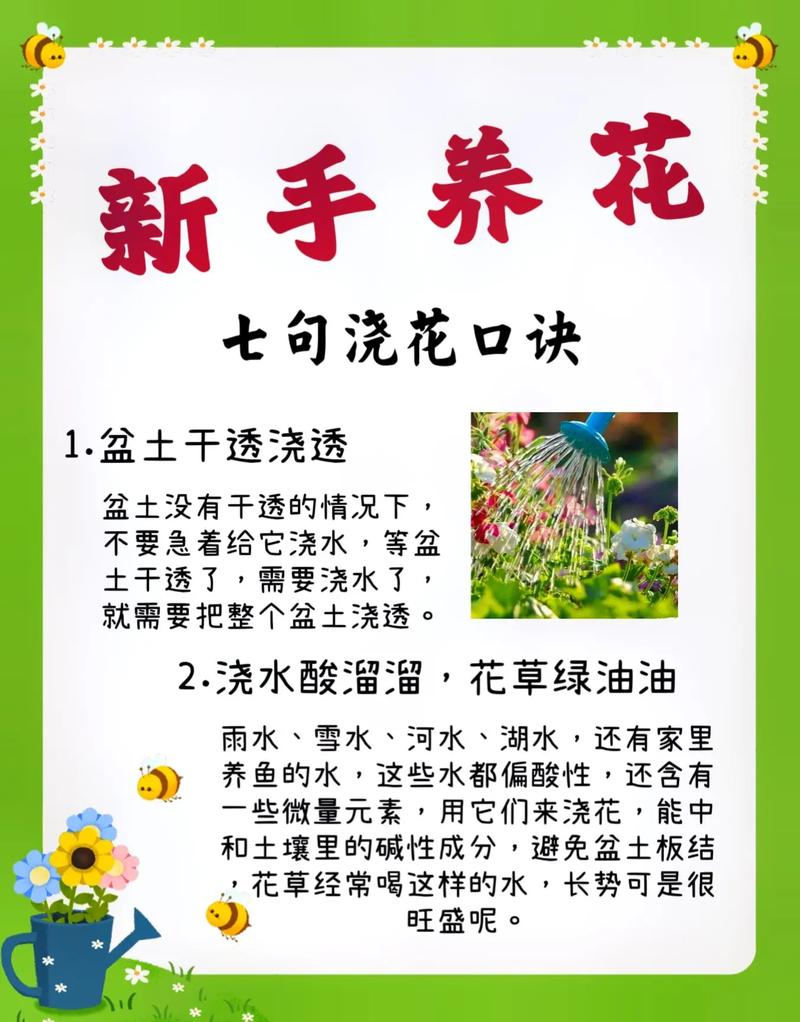 养花“浇水”很关键，养花浇水施肥技巧