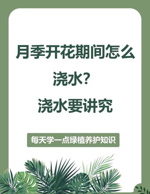 养花“浇水”很关键，养花浇水施肥技巧-第6张图片-优品飞百科