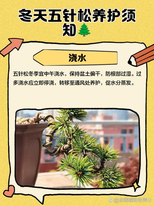 冬季植物缺少光照怎么办？冬天植物不进行光合作用？-第3张图片-优品飞百科