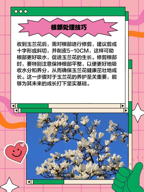 玉兰怎么修剪，玉兰怎么修剪造型？-第2张图片-优品飞百科