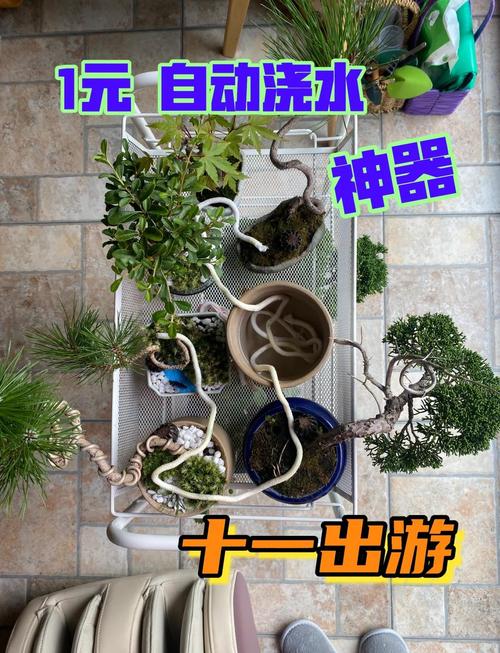 魔杖浇水过多怎么办，魔杖越长越好吗-第5张图片-优品飞百科