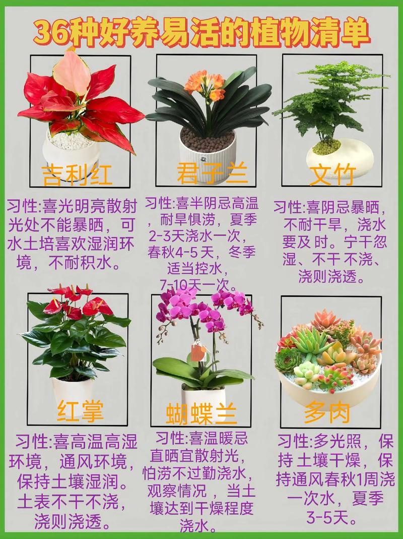 养花还用花钱，养花只需要浇水吗？-第2张图片-优品飞百科