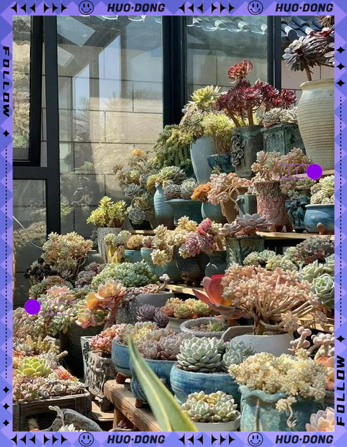 养花还用花钱，养花只需要浇水吗？-第5张图片-优品飞百科