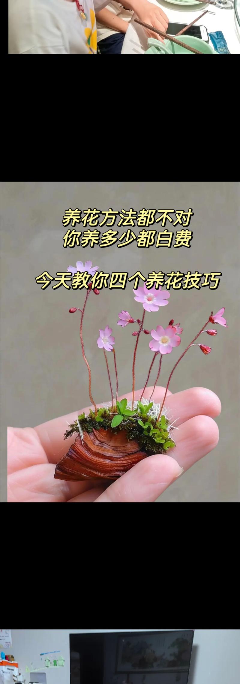 养花还用花钱，养花只需要浇水吗？-第6张图片-优品飞百科