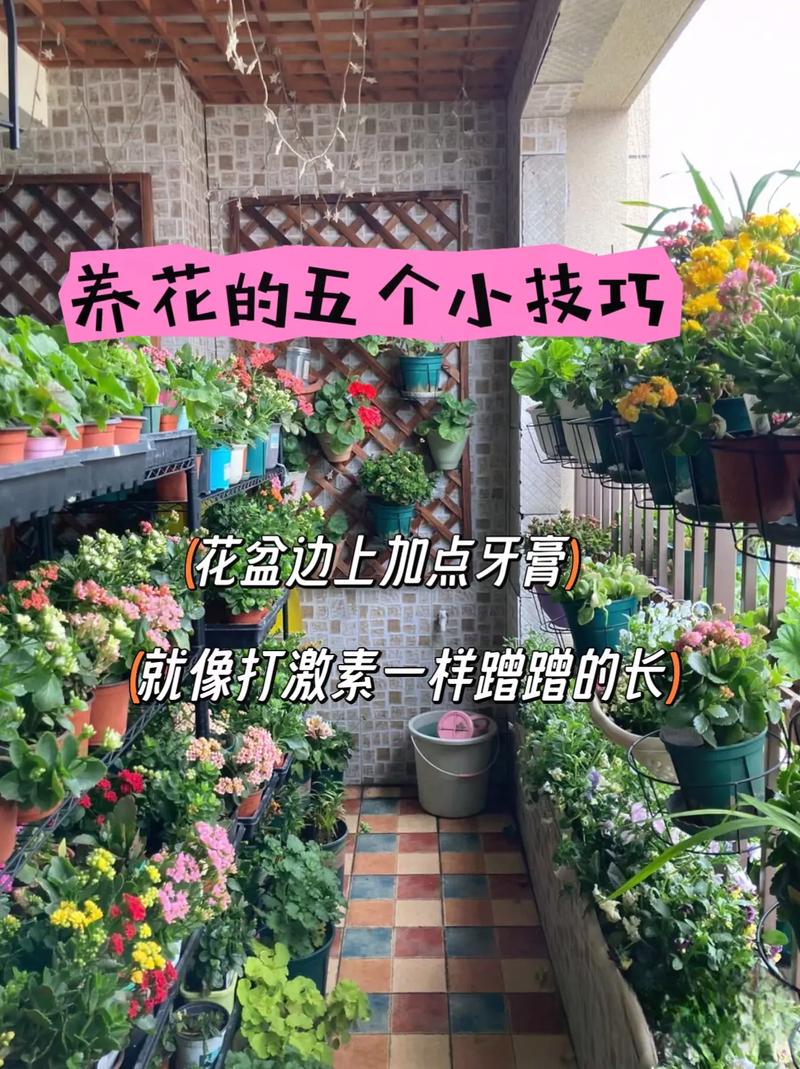 养花还用花钱，养花只需要浇水吗？-第8张图片-优品飞百科