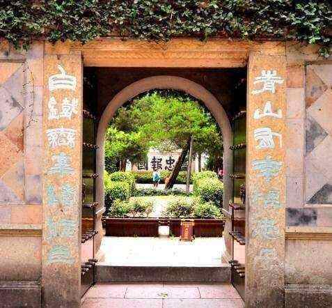 垂钓满天星怎么浇水,满天星水养怎么养-第4张图片-优品飞百科 垂钓满天星怎么浇水,满天星水养怎么养-第4张图片-优品飞百科