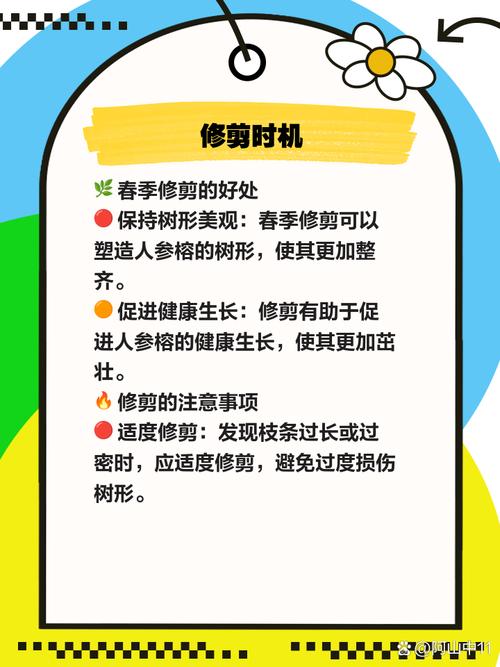 人参榕用什么花盆，人参榕树用什么盆养比较好看？-第2张图片-优品飞百科
