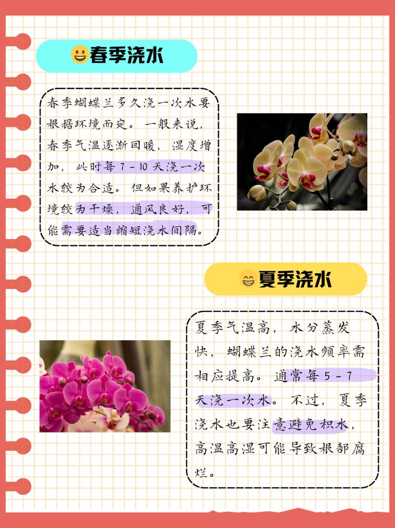 蝴蝶兰开花期怎么浇水，蝴蝶兰开花期怎么浇水视频？-第7张图片-优品飞百科