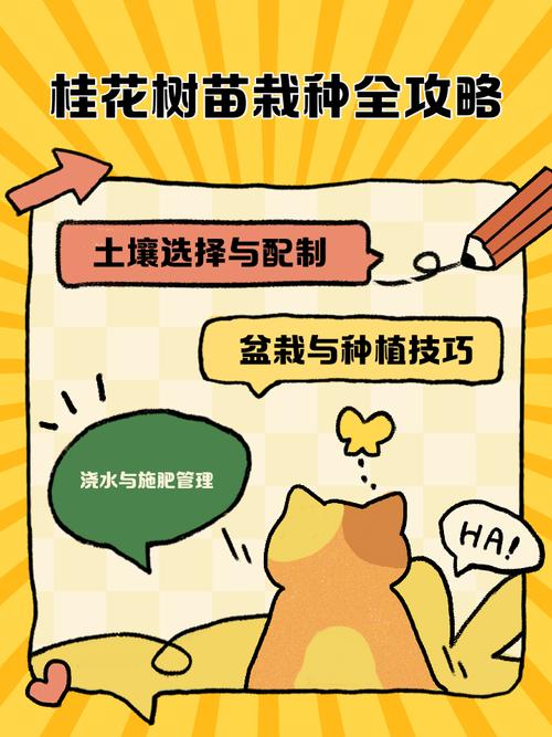 桂花苗怎么培育，桂花苗如何培育-第5张图片-优品飞百科