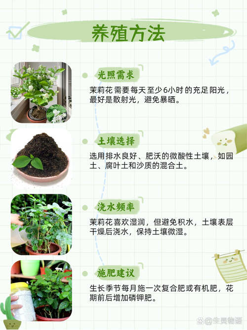 紫茉莉怎么多开花？紫茉莉开花后怎么修剪？-第6张图片-优品飞百科