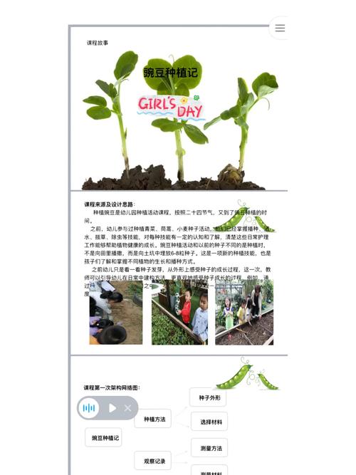 豌豆种植时间和方法？北方豌豆种植时间和方法？
