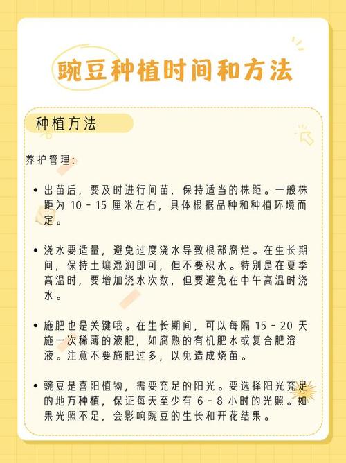 豌豆种植时间和方法？北方豌豆种植时间和方法？-第3张图片-优品飞百科