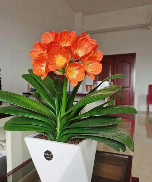 以后“废水”不要倒，废水经过处理后可以直接饮用吗-第3张图片-优品飞百科