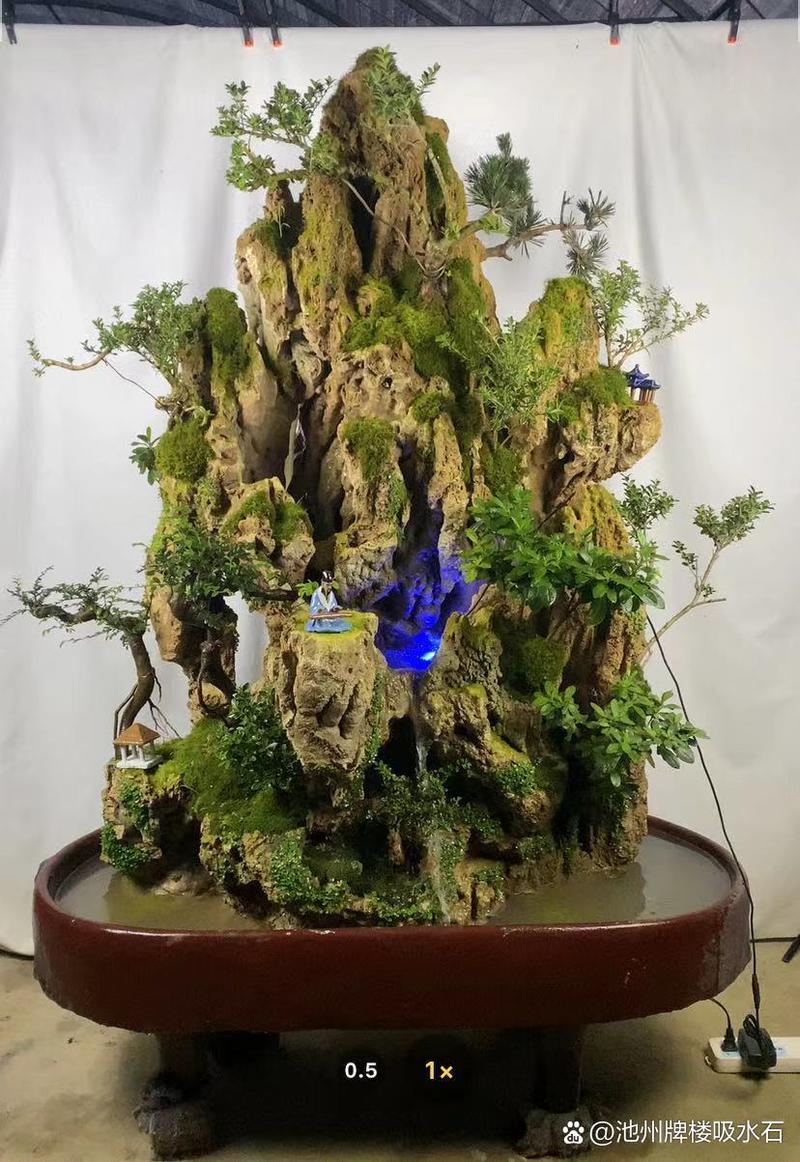 吸水石上种什么植物，吸水石种什么植物好活寓意好？