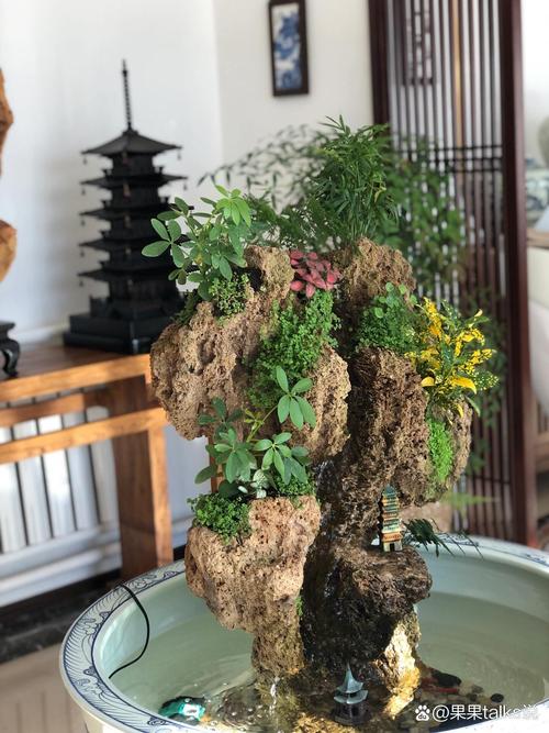 吸水石上种什么植物，吸水石种什么植物好活寓意好？-第3张图片-优品飞百科