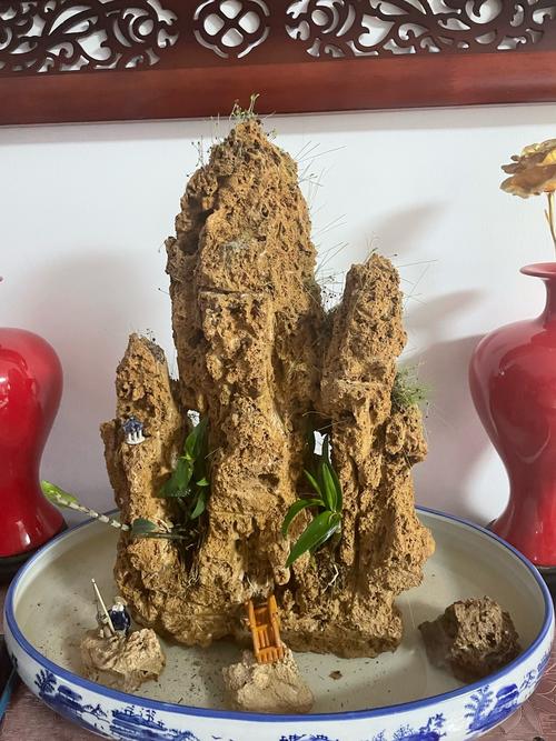 吸水石上种什么植物，吸水石种什么植物好活寓意好？-第6张图片-优品飞百科