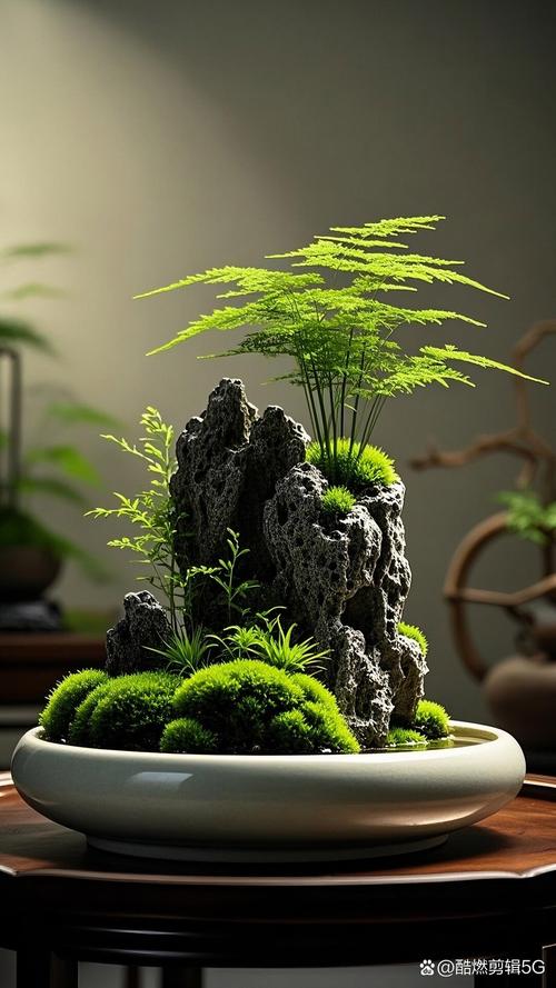 吸水石上种什么植物，吸水石种什么植物好活寓意好？-第7张图片-优品飞百科