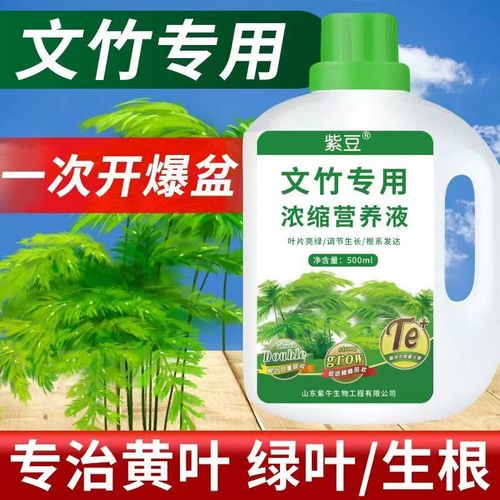 文竹喜欢什么肥料，文竹喜欢什么肥料比较好？-第5张图片-优品飞百科