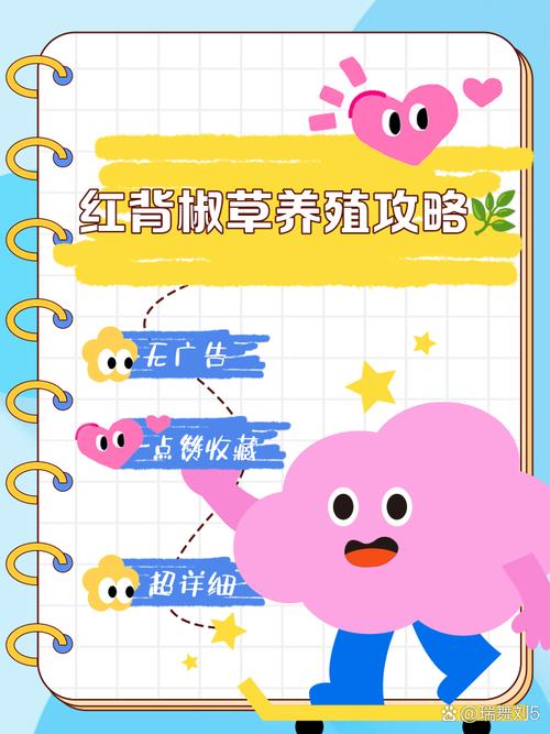 红椒草怎么养，红椒草开花吗？