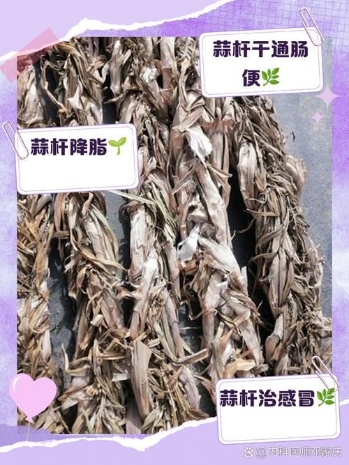 大蒜怎么种植?大蒜怎么种植方法小学生?-第6张图片-优品飞百科 大蒜怎么种植?大蒜怎么种植方法小学生?-第6张图片-优品飞百科