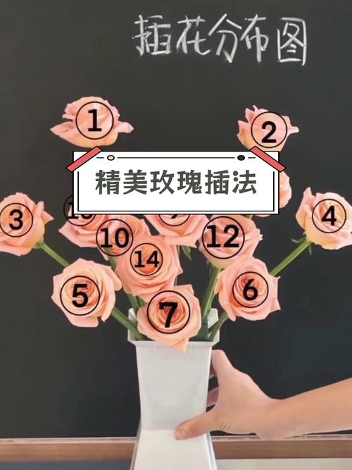 玫瑰怎么插活，玫瑰怎么插瓶容易活？-第5张图片-优品飞百科