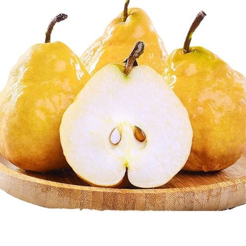 四季梨的繁殖方法，四季梨的繁殖方法有哪些？-第4张图片-优品飞百科