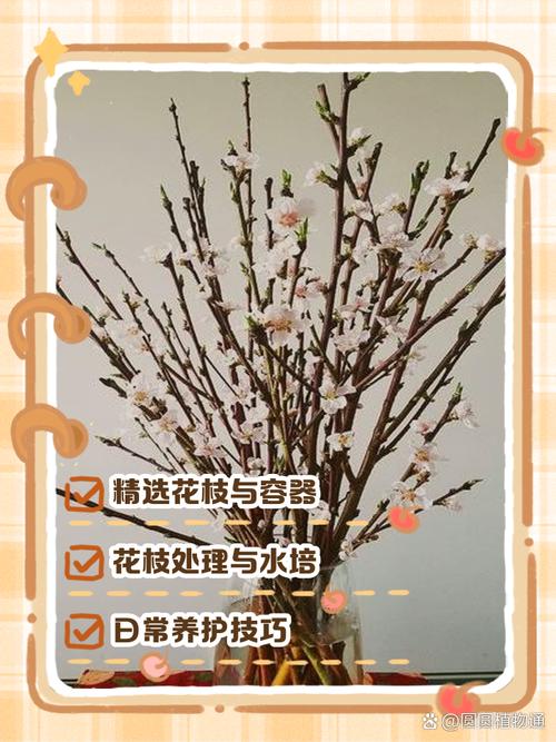 桃花冬天怎么养，桃花冬天会枯萎吗？-第3张图片-优品飞百科