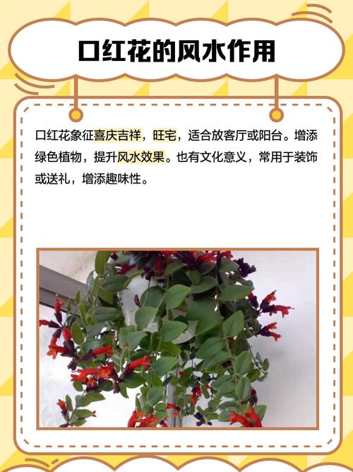 口红花怎么养？口红花的养殖方法和注意事项？-第3张图片-优品飞百科