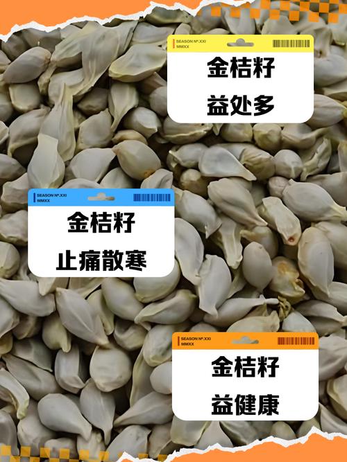 金桔种子怎么种,用金桔种子怎么种出苗-第2张图片-优品飞百科 金桔种子怎么种,用金桔种子怎么种出苗-第2张图片-优品飞百科