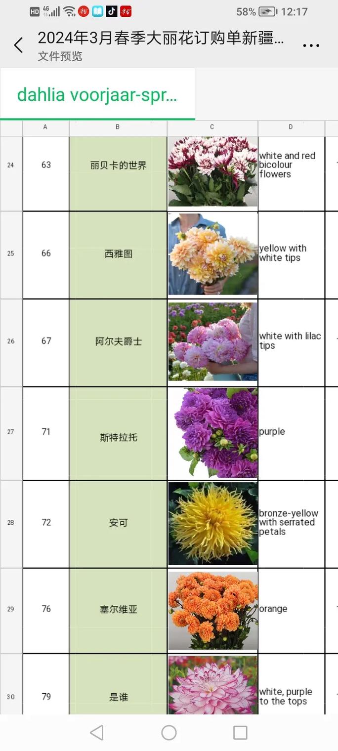 广东大丽花什么时候种，大丽花啥时种？-第4张图片-优品飞百科