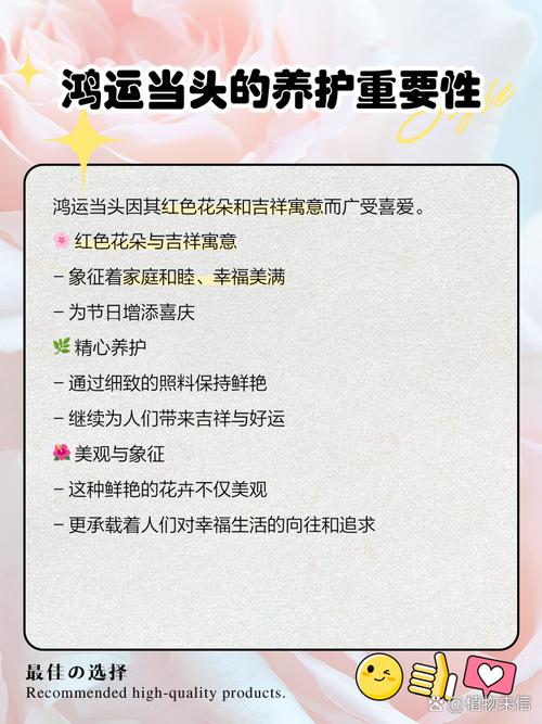 鸿运当头怎么开花，鸿运当头怎样才能开花？-第5张图片-优品飞百科