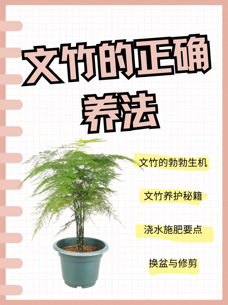 文竹换盆时间秋天可以吗，文竹秋天能换盆吗？