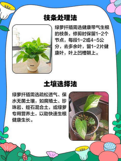 绿萝怎样扦插，绿萝怎样扦插带根的绿萝？