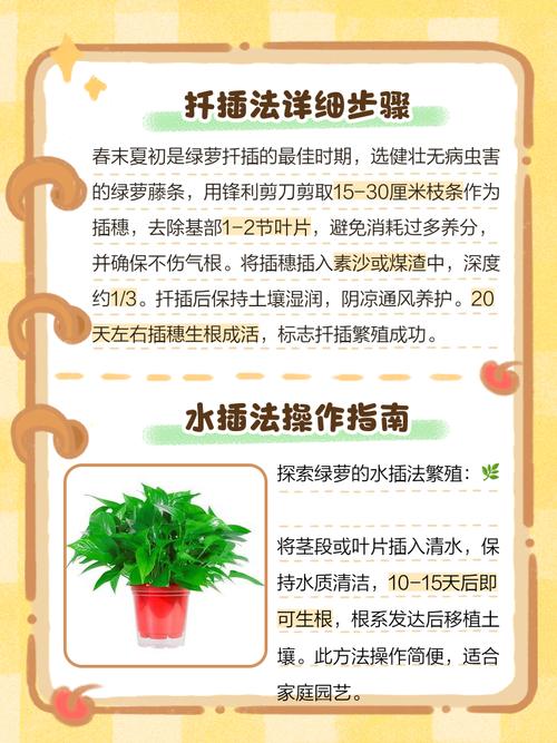 绿萝怎样扦插，绿萝怎样扦插带根的绿萝？-第6张图片-优品飞百科
