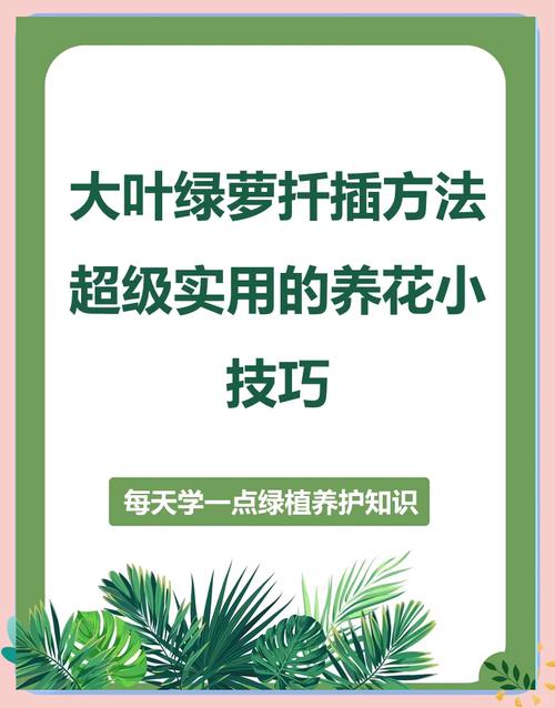 绿萝怎样扦插，绿萝怎样扦插带根的绿萝？-第8张图片-优品飞百科
