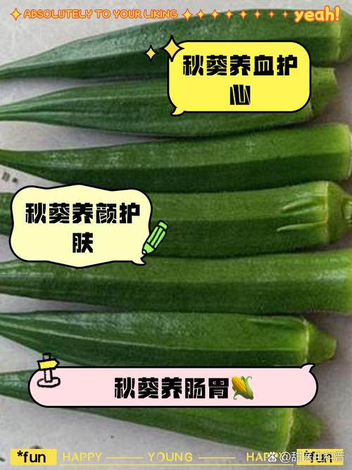 秋葵喜阴还是喜阳，秋葵喜阴还是喜阳?