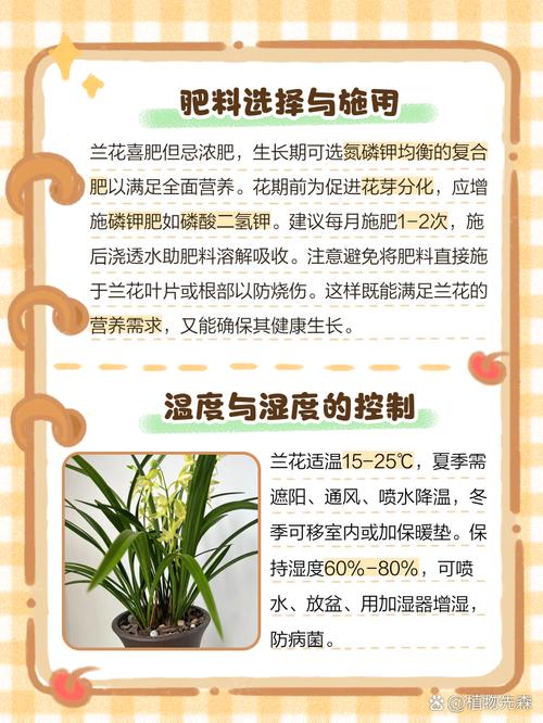 兰花要怎么养，兰花的养护方法？-第6张图片-优品飞百科