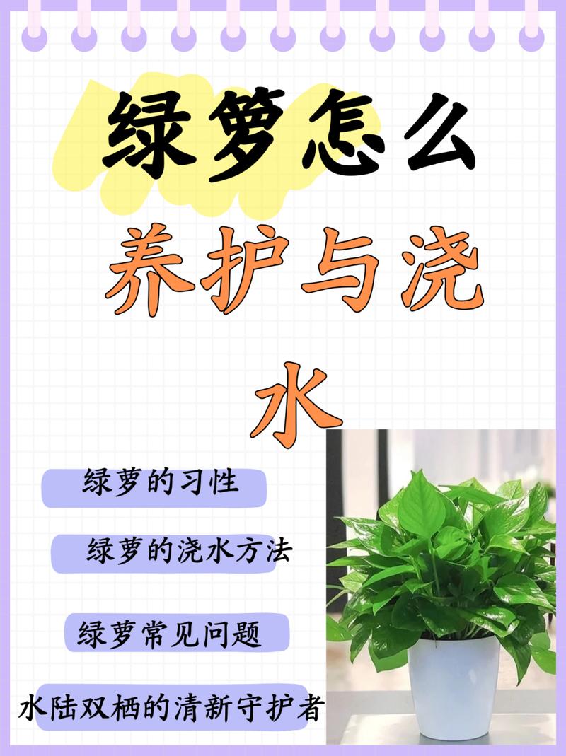 绿萝怎么养才能有藤蔓，绿萝怎么养才能有藤蔓和花？-第3张图片-优品飞百科
