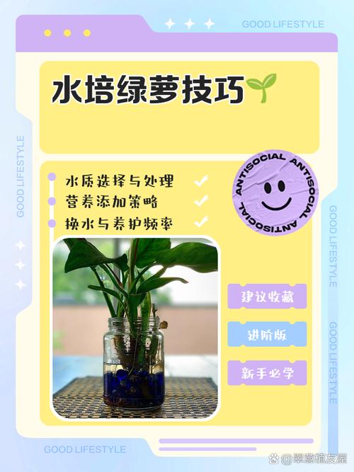 绿萝怎么养才能有藤蔓，绿萝怎么养才能有藤蔓和花？-第4张图片-优品飞百科