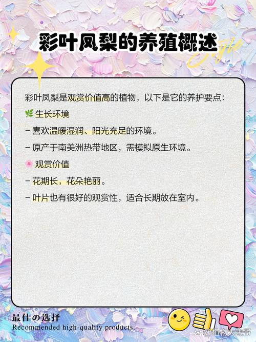 彩叶凤梨的养殖方法，彩叶凤梨可以水培吗？-第3张图片-优品飞百科