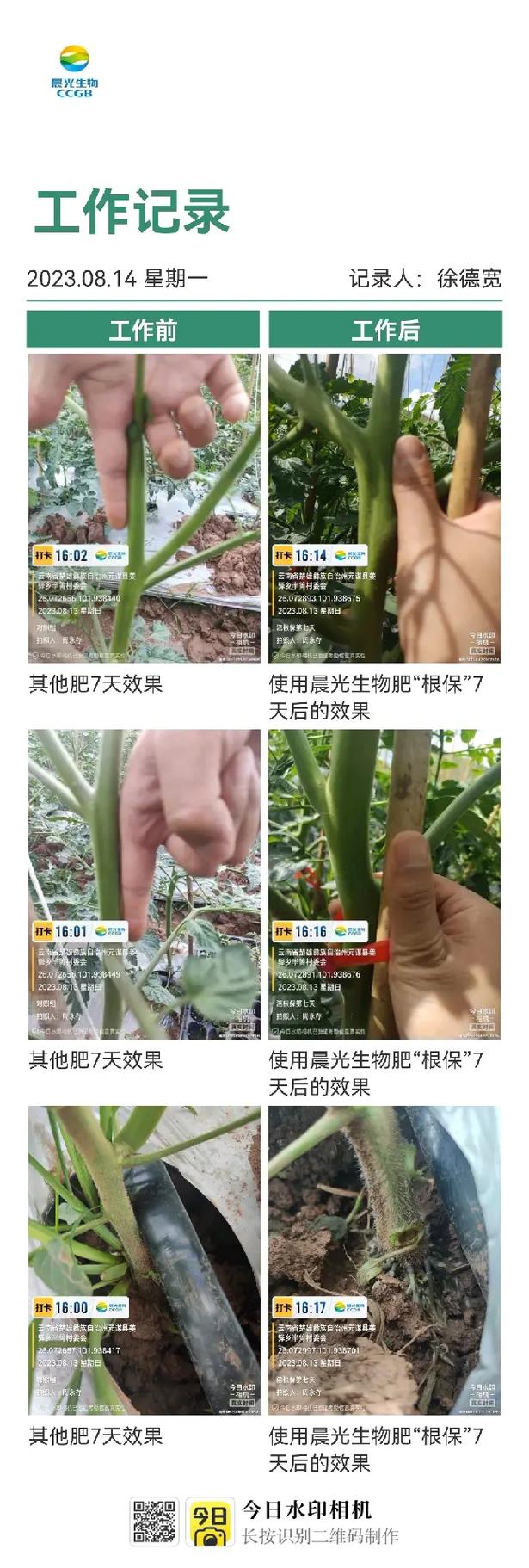 番茄结果期施什么肥好，番茄结果时施什么肥料？-第3张图片-优品飞百科